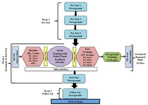 Schema for TPAD Experiment